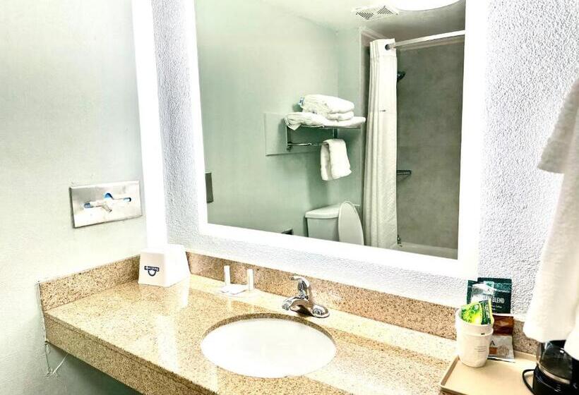 Номер Стандарт Кровать Кинг Адаптированный для Инвалидов, Days Inn By Wyndham Pensacola  Historic Downtown