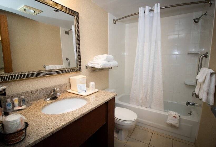 Suite, Suburban Studios Arlington Heights Elk Grove
