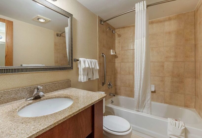 Suite, Suburban Studios Arlington Heights Elk Grove