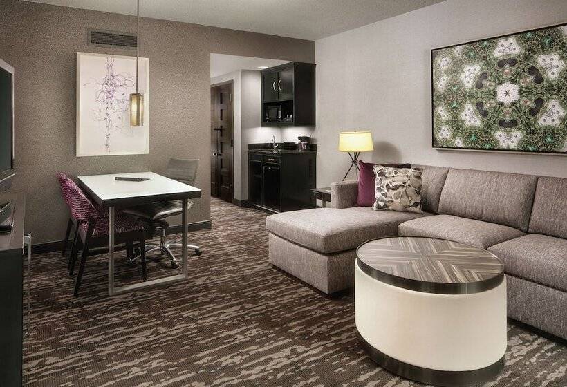 전망 스위트, Embassy Suites By Hilton Crystal City National Airport