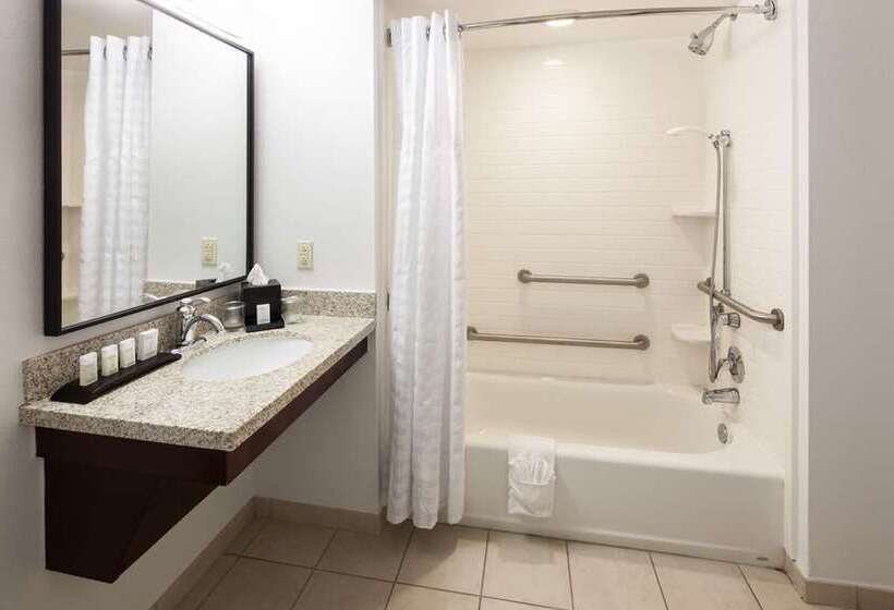 스탠다드 룸, Embassy Suites By Hilton Crystal City National Airport