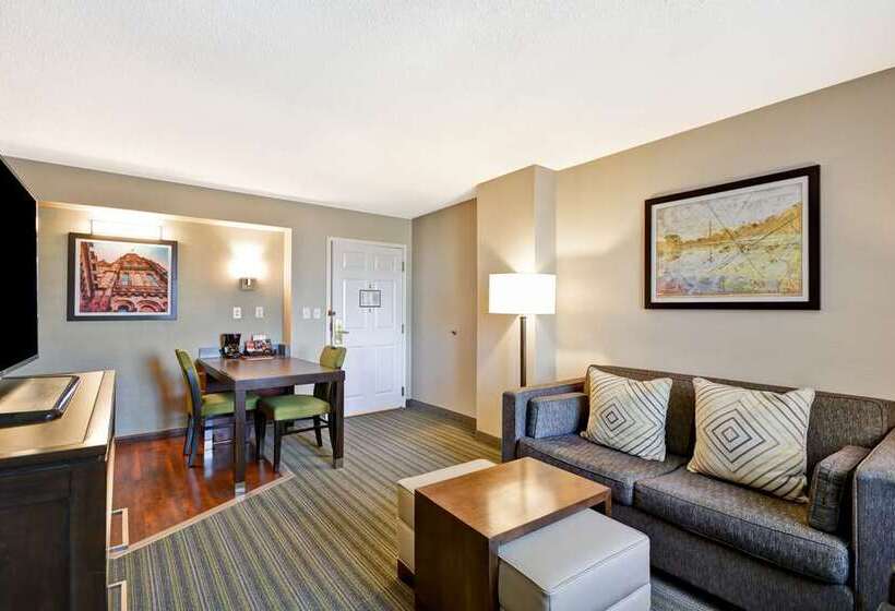 스탠다드 룸, Embassy Suites By Hilton Orlando International Dr Icon Park