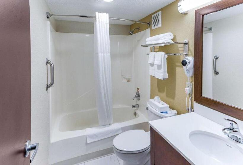 스탠다드 룸 킹사이즈 침대, Quality Inn & Suites