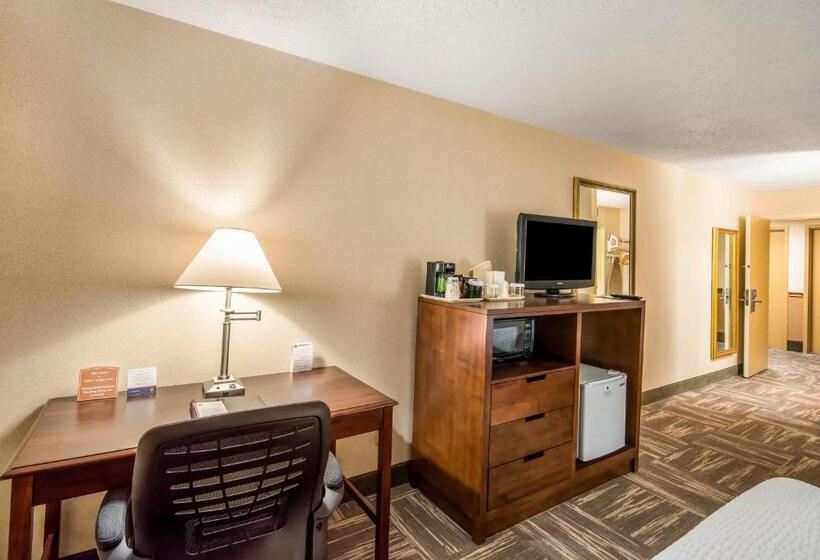 스탠다드 룸 킹사이즈 침대, Clarion Inn Grand Junction
