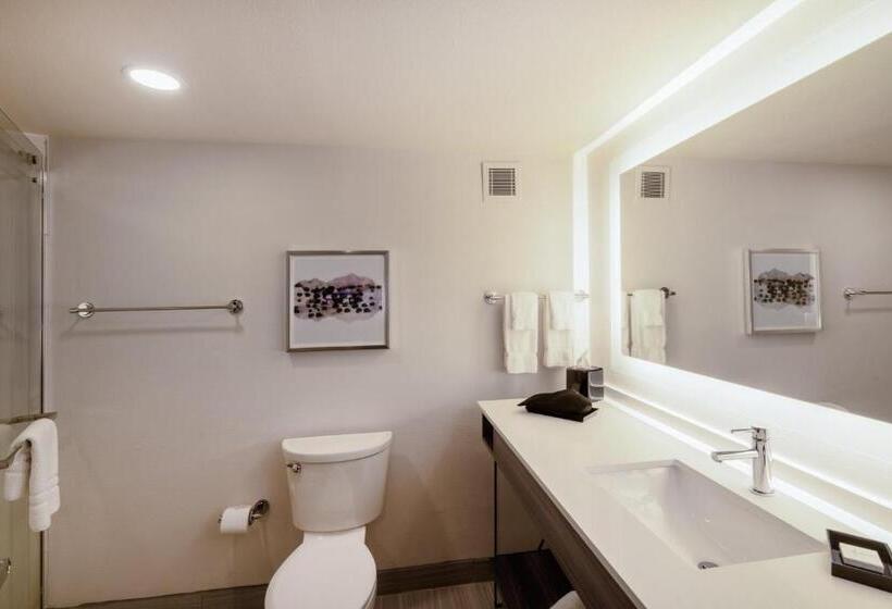 스탠다드 룸 킹사이즈 침대, Crowne Plaza Atlanta Ne   Norcross