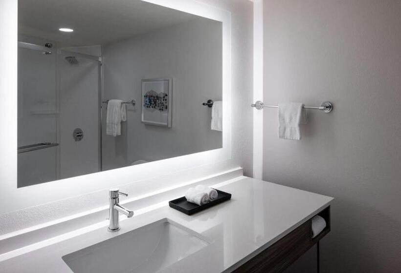 장애인을 위한 킹사이즈 침대 스탠다드 룸, Crowne Plaza Atlanta Ne   Norcross