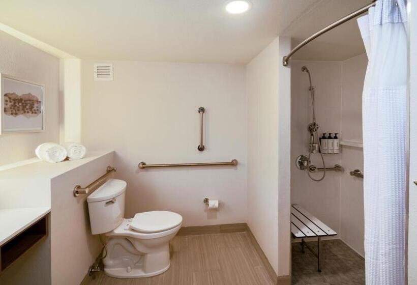 장애인을 위한 킹사이즈 침대 스탠다드 룸, Crowne Plaza Atlanta Ne   Norcross