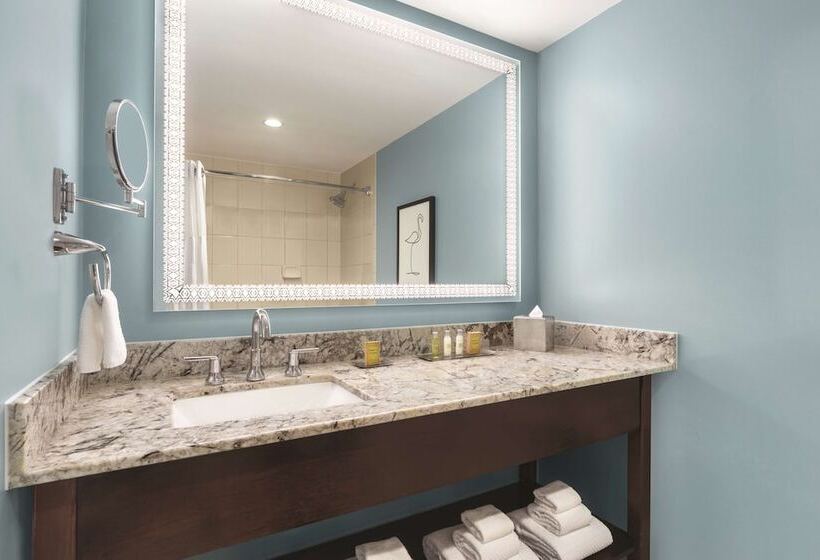 标准间带双人床, Doubletree By Hilton Tampa Rocky Point Waterfront