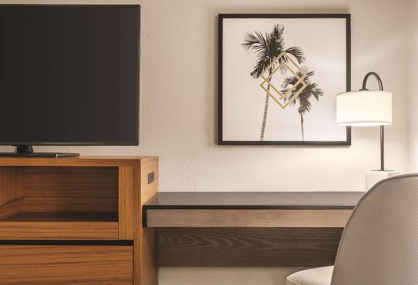 带2个双人床的标准工作室, Doubletree By Hilton Tampa Rocky Point Waterfront