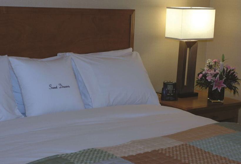 Standard-huone Parivuode, Wyndham Columbus