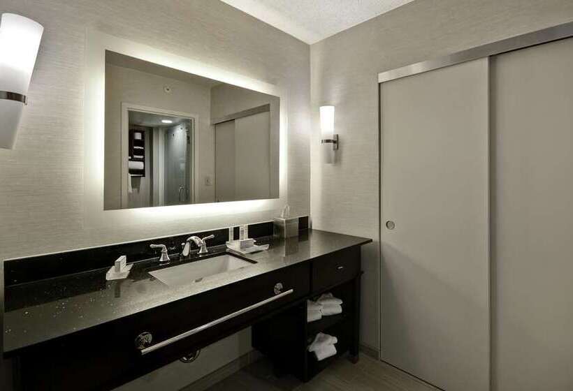 Люкс, Embassy Suites By Hilton Anaheim Orange