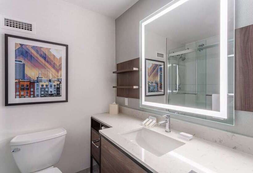 Номер Стандарт 2 Двуспальные Кровати, Hilton Charlotte University Place