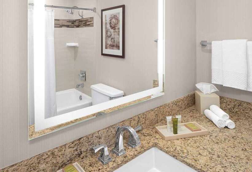 Номер Премиум, Hilton Charlotte University Place