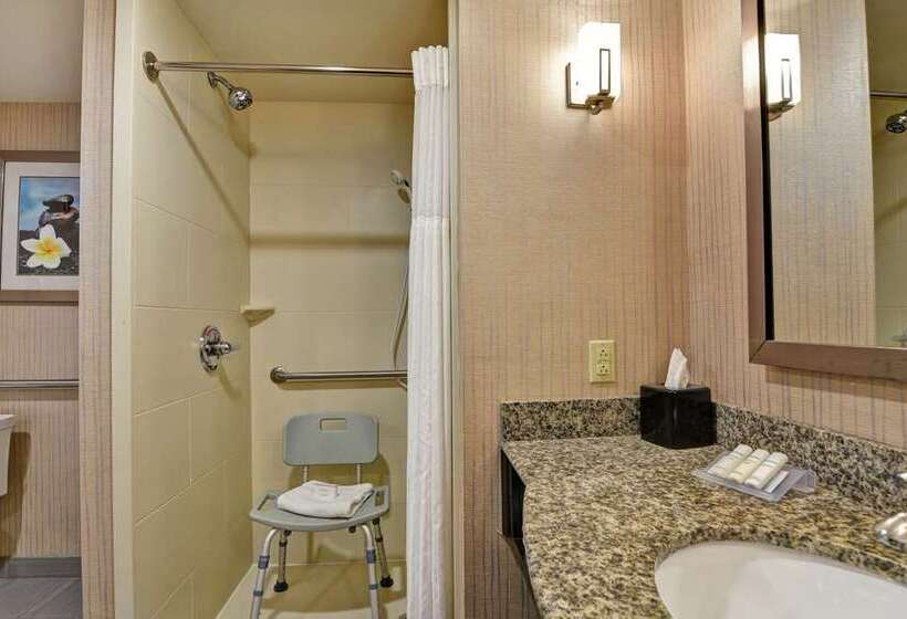 Standard-huone, Hilton Chicago/oak Lawn