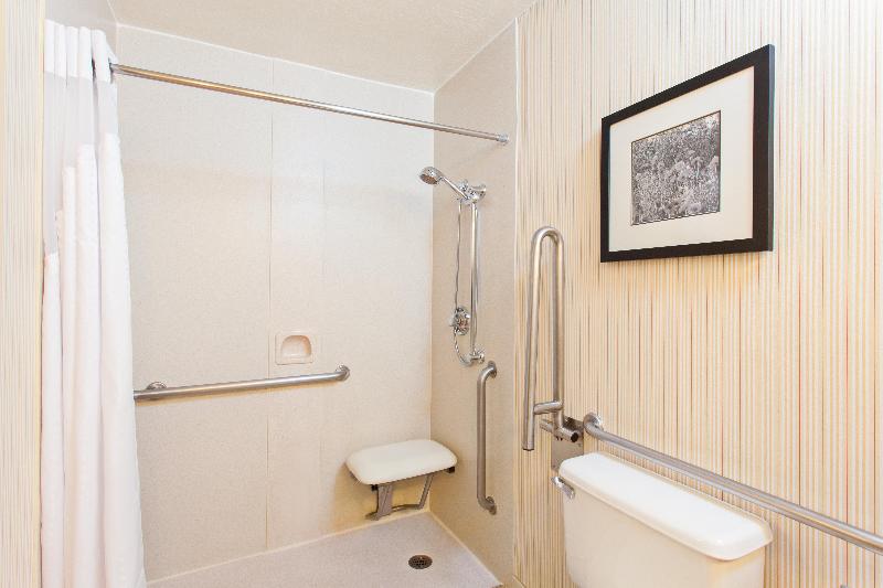 适合残疾人士使用的带超级大床的标准间, Holiday Inn Sacramento Downtown Arena, An Ihg