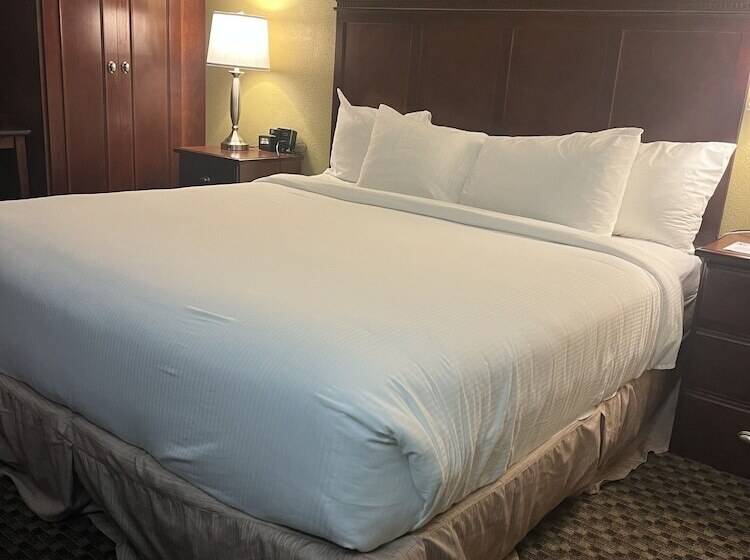 标准间, Spark By Hilton Colorado Springs I 25 Central