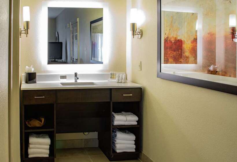 Люкс Кровать Кинг, Embassy Suites Hotel Winston Salem