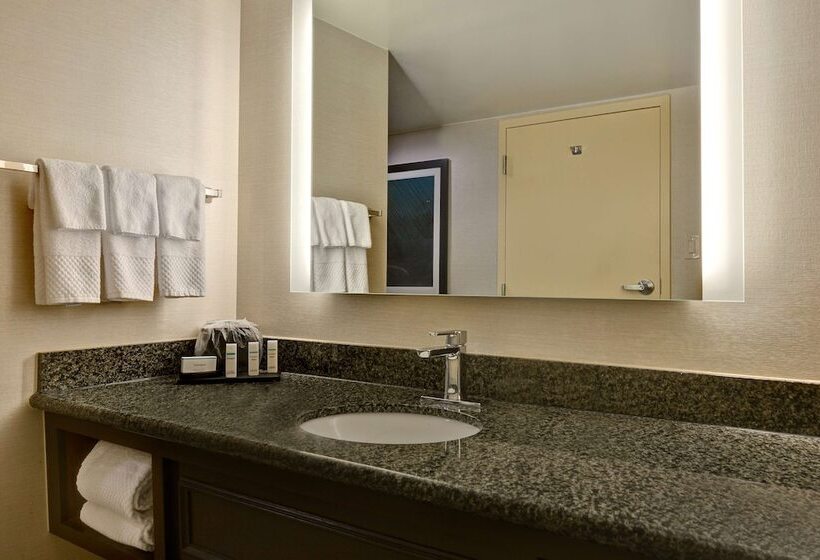 Люкс, Embassy Suites Hotel Winston Salem