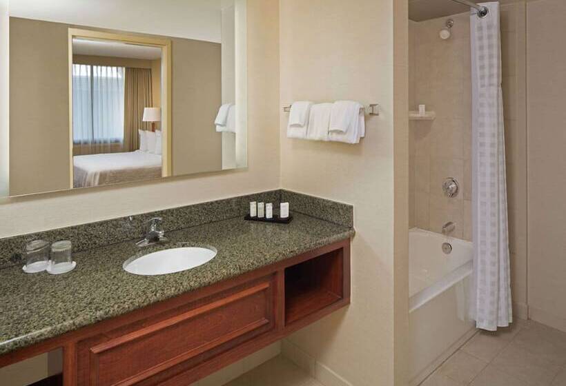 Люкс Премиум, Embassy Suites Hotel Winston Salem