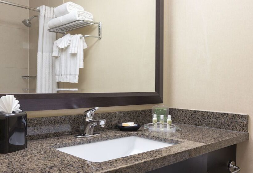 Номер Стандарт, Holiday Inn Chicago   Elk Grove, An Ihg