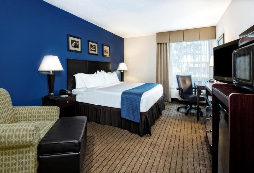 장애인을 위한 킹사이즈 침대 스탠다드 룸, Holiday Inn Hotel Dallas Dfw Airport West, An Ihg
