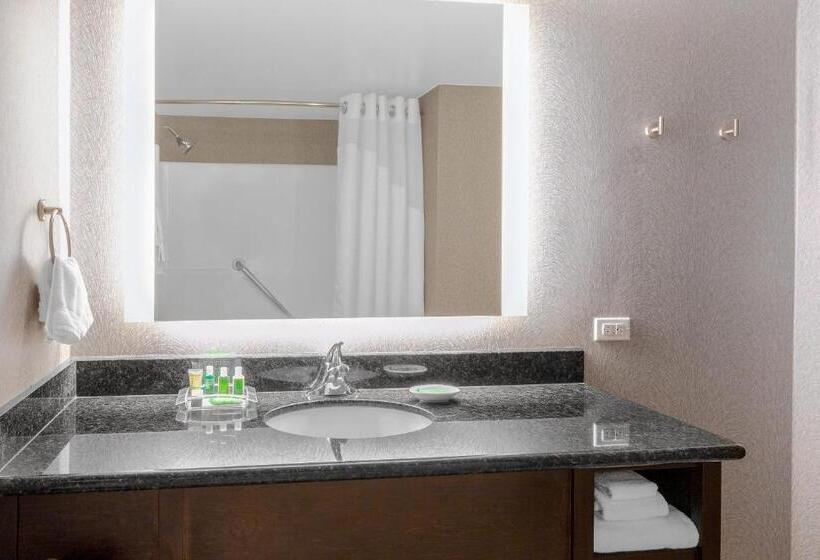 Стандартный Номер Кровать Кинг, Holiday Inn La Mirada Buena Park, An Ihg