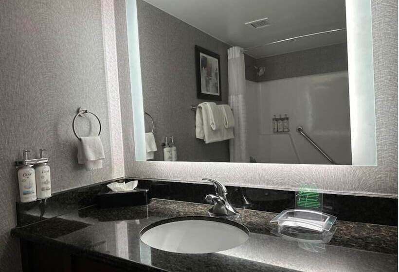 Номер Стандарт, Holiday Inn La Mirada Buena Park, An Ihg