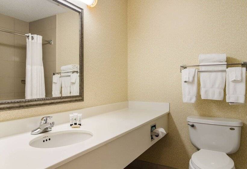 Номер Стандарт 2 Двуспальные Кровати, Red Lion Hotel Cheyenne