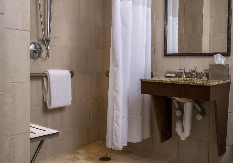Quarto Estandar Cama King para Deficientes Físicos, Hilton Anatole