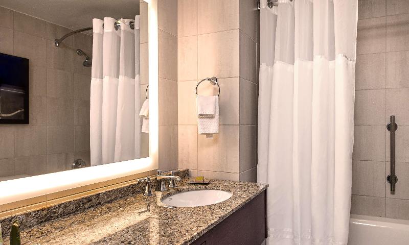 Quarto Estandar Cama King para Deficientes Físicos, Hilton Anatole