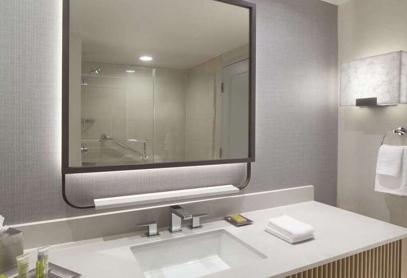 Quarto Estandar, Hilton Anatole