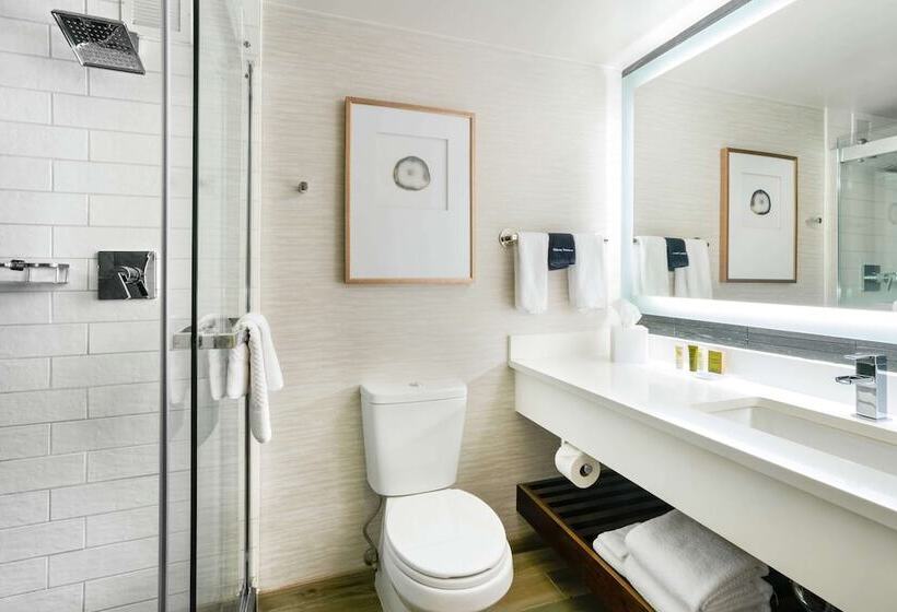 מיטת קינג בסוויטה, Hilton Denver City Center