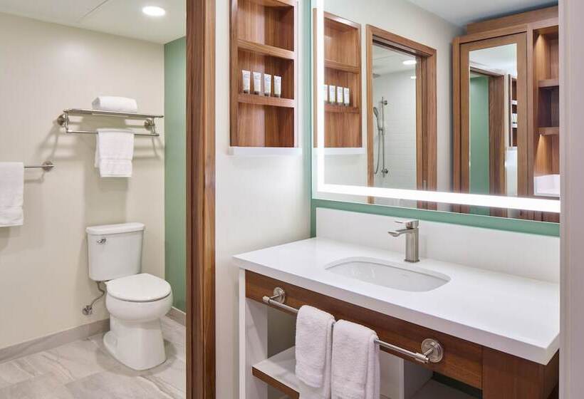 Номер Премиум, Outrigger Kāʻanapali Beach Resort