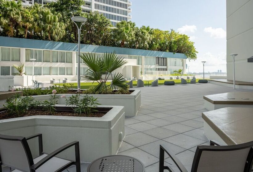 带2个双人床的标准工作室, Miami Marriott Biscayne Bay