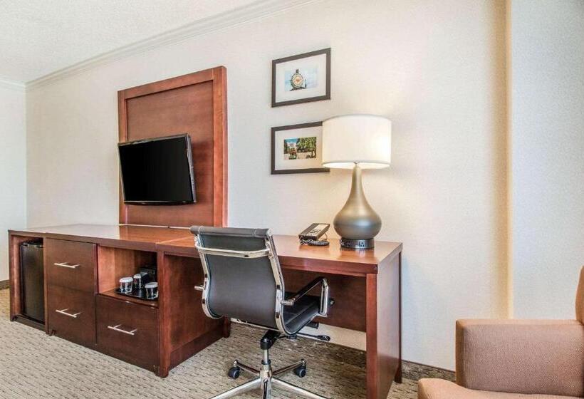 Habitació Estàndard Llit King, Comfort Inn By The Bay