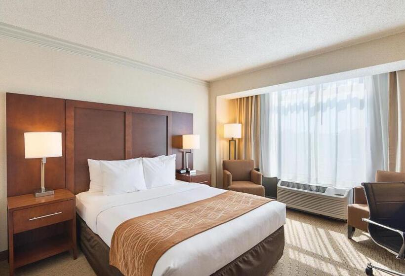Habitació Estàndard, Comfort Inn By The Bay