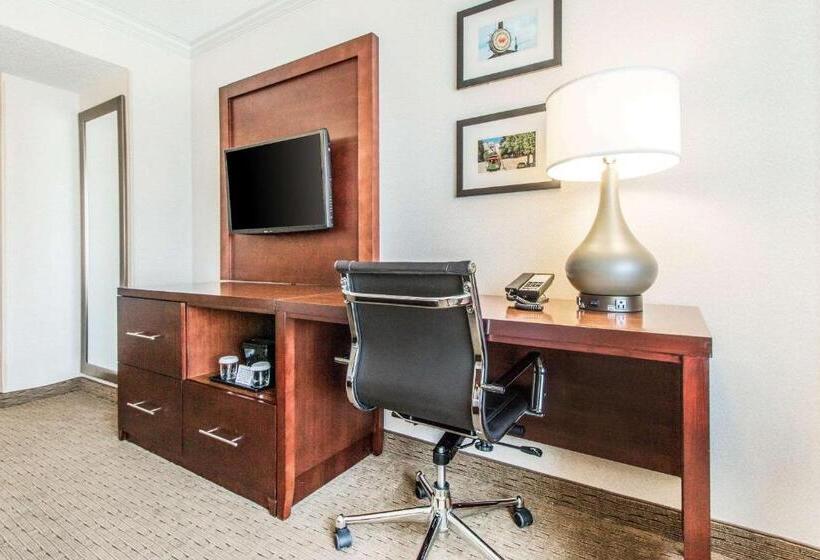 Habitació Estàndard amb Vistes, Comfort Inn By The Bay