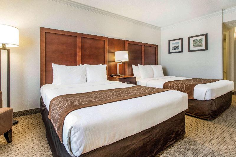 Habitació Estàndard, Comfort Inn By The Bay
