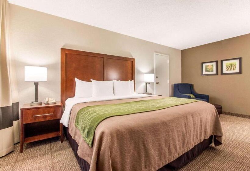 Стандартный Номер Кровать Кинг, Comfort Inn & Suites Omaha Central