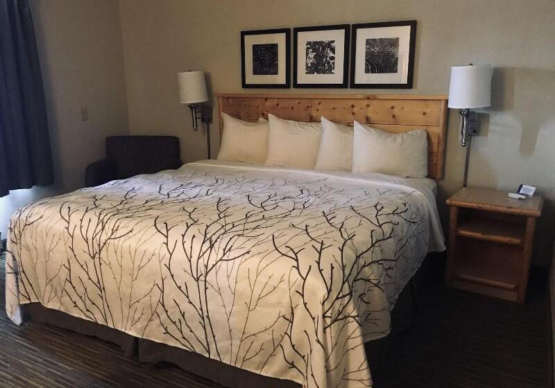 Стандартный Номер Кровать Кинг, Days Inn And Suites By Wyndham Downtown Missoulauniversity