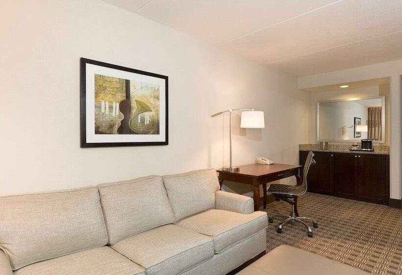 Люкс, Doubletree Suites By Hilton Nashville Airport