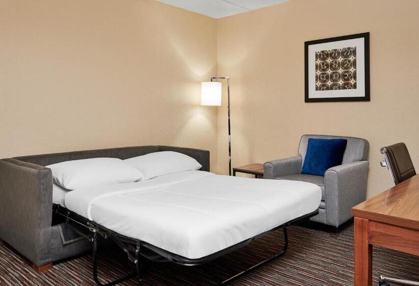Люкс Кровать Кинг, Four Points By Sheraton Milwaukee Airport