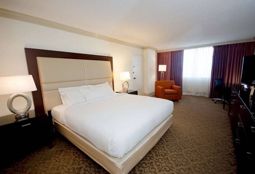 Superior Oda, Hilton Palm Beach Pbi