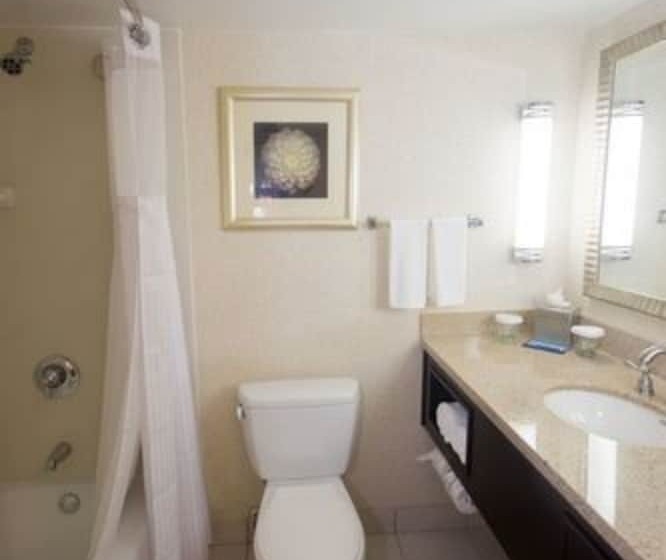 Superior Oda, Hilton Palm Beach Pbi