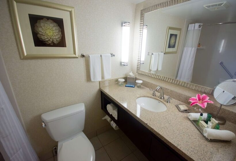 Executive Süit, Hilton Palm Beach Pbi