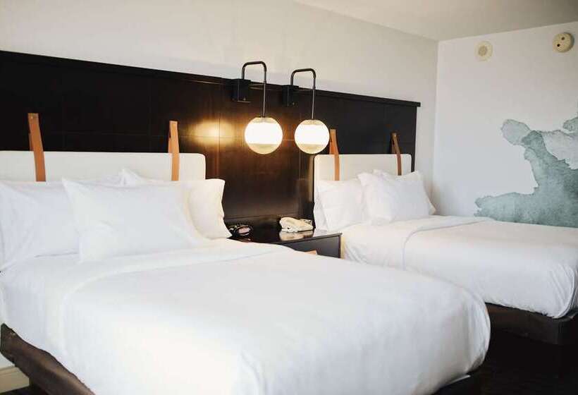 Engelliler için Standart Oda, Hilton Palm Beach Pbi