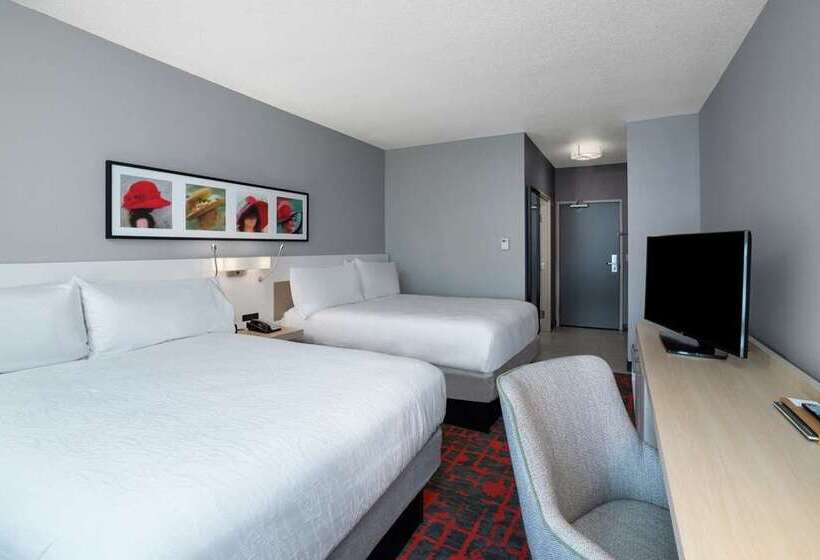 Standart Oda, Hilton Palm Beach Pbi
