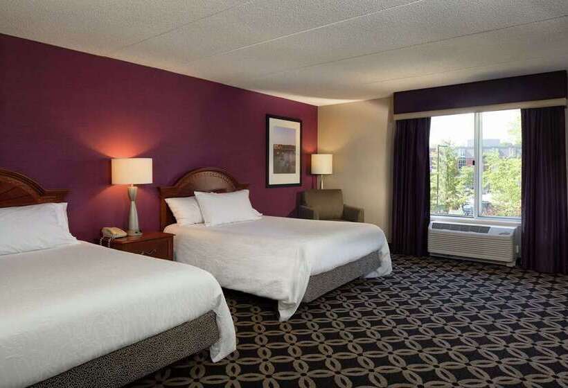 Standart Oda, Hilton Palm Beach Pbi