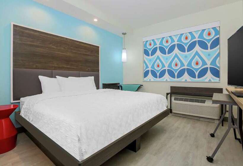 Engelliler için Büyük Çift Kişilik Yataklı Standart Oda, Hilton Palm Beach Pbi