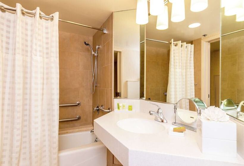 חדר דלוקס מותאם לאנשים עם מוגבלויות, Parc 55 San Franciscoa Hilton
